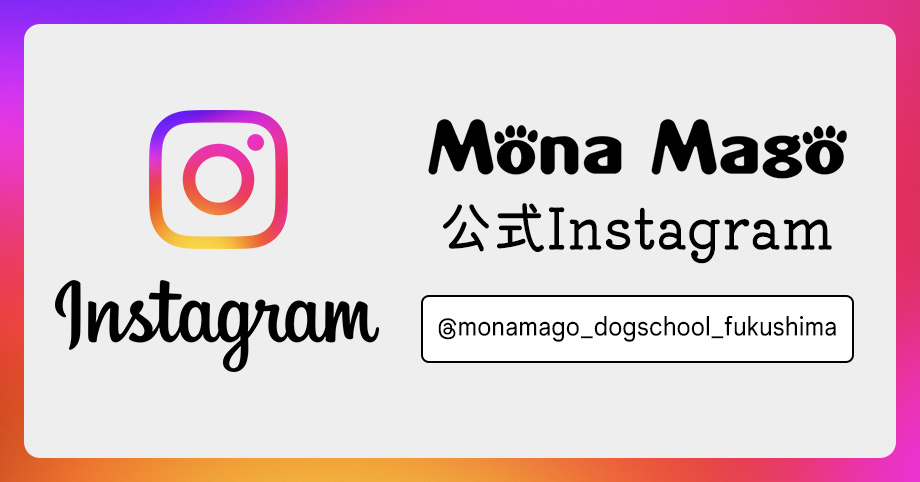MonaMago Dog School 公式Instagram
