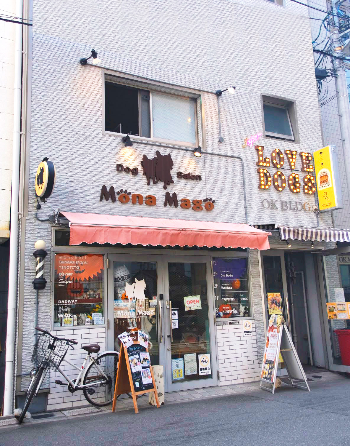 店内でのわんちゃんのイメージ