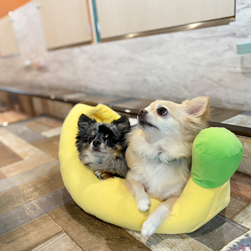 フリーアメニティのイメージ