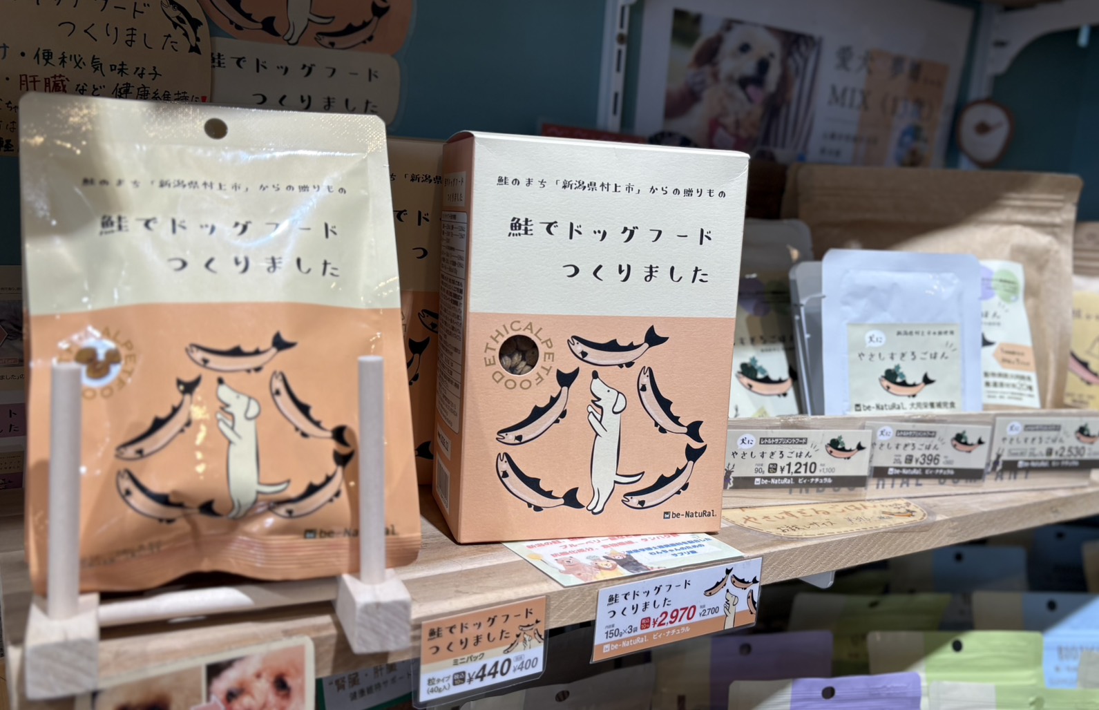 犬用フードの写真2