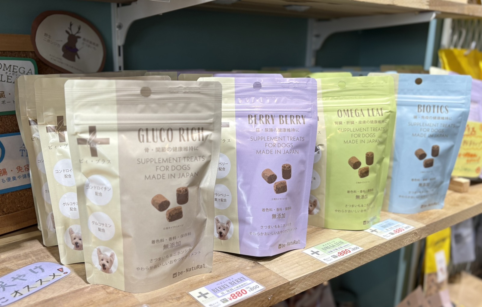 犬用サプリの写真1