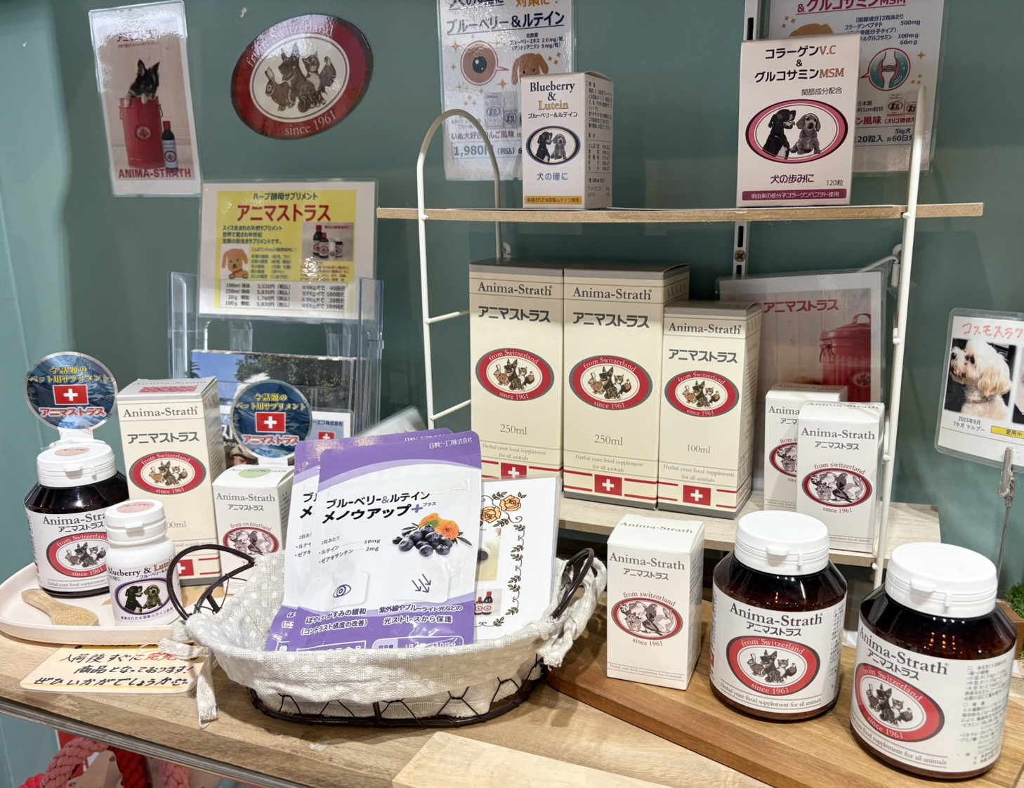 犬用サプリの写真2