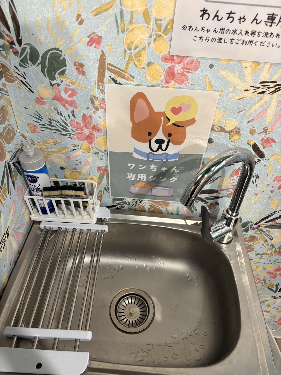 ワンちゃん用シンク